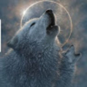 Meet your Posher, Rahel